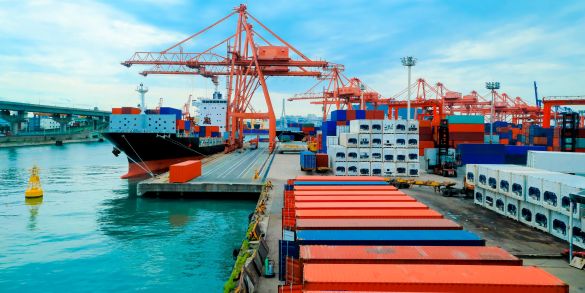 Singapore forwarder company - Megaton.com.sg